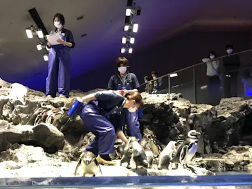 すみだ水族館に投稿された画像（2021/3/19）