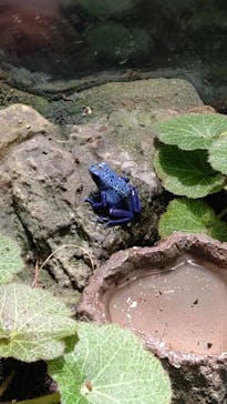 サンシャイン水族館に投稿された画像（2021/3/19）