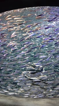 サンシャイン水族館に投稿された画像（2021/3/19）