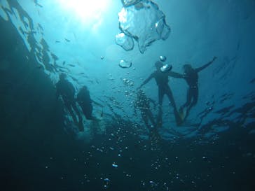 武藤潜水に投稿された画像（2021/3/19）