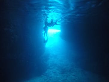 武藤潜水に投稿された画像（2021/3/19）