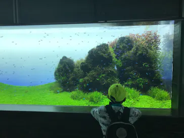 すみだ水族館に投稿された画像（2021/3/19）