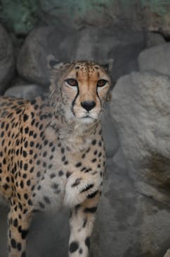 東武動物公園に投稿された画像（2021/3/19）