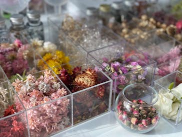 ずこうしつ〜sugamo〜に投稿された画像（2021/3/19）