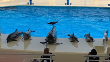 マリンワールド海の中道に投稿された画像（2021/3/19）