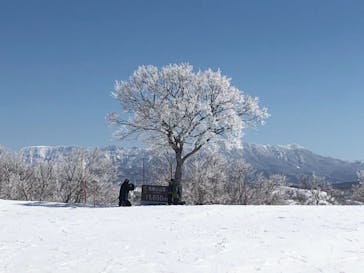 野沢温泉スキー場に投稿された画像（2021/3/19）