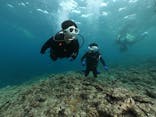 DIVING-SHOP SUNSに投稿された画像（2021/3/19）