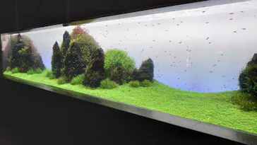 すみだ水族館に投稿された画像（2021/3/19）