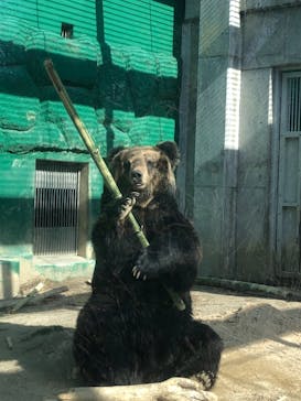 東武動物公園に投稿された画像（2021/3/19）