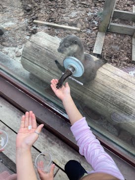 横浜・八景島シーパラダイスに投稿された画像（2021/3/19）