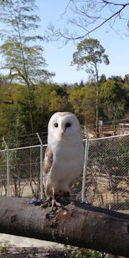 しろとり動物園に投稿された画像（2021/3/19）