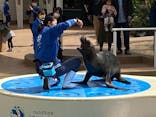 サンシャイン水族館に投稿された画像（2021/3/19）