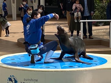 サンシャイン水族館に投稿された画像（2021/3/19）
