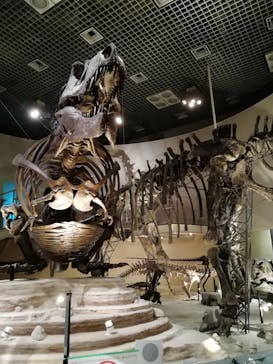 国立科学博物館に投稿された画像（2021/3/19）