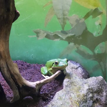 サンシャイン水族館に投稿された画像（2021/3/19）