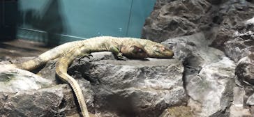 サンシャイン水族館に投稿された画像（2021/3/19）