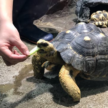 サンシャイン水族館に投稿された画像（2021/3/19）
