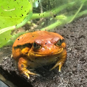 サンシャイン水族館に投稿された画像（2021/3/19）