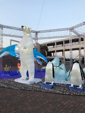 横浜・八景島シーパラダイスに投稿された画像（2021/3/19）