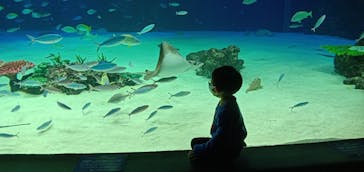 サンシャイン水族館に投稿された画像（2021/3/19）