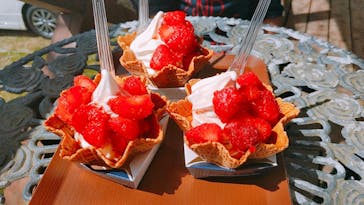 福田フルーツパークに投稿された画像（2021/3/20）