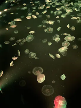 すみだ水族館に投稿された画像（2021/3/20）