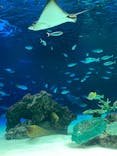 サンシャイン水族館に投稿された画像（2021/3/20）