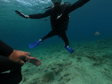 DIVING-SHOP SUNSに投稿された画像（2021/3/20）