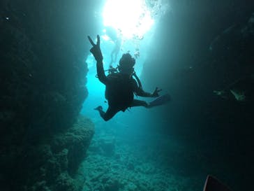 DIVING-SHOP SUNSに投稿された画像（2021/3/20）