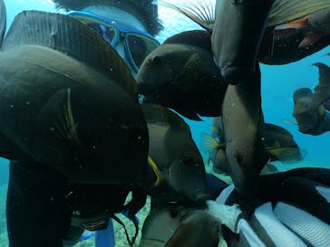 DIVING-SHOP SUNSに投稿された画像（2021/3/20）