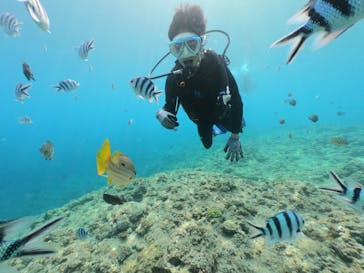 DIVING-SHOP SUNSに投稿された画像（2021/3/20）