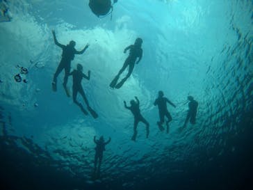 武藤潜水に投稿された画像（2021/3/20）