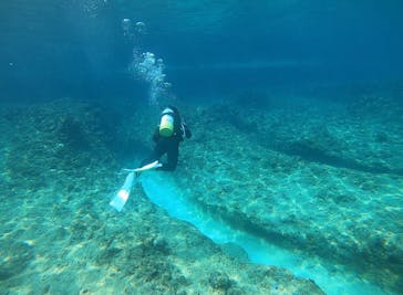 MalDive（モルダイブ）に投稿された画像（2021/3/20）