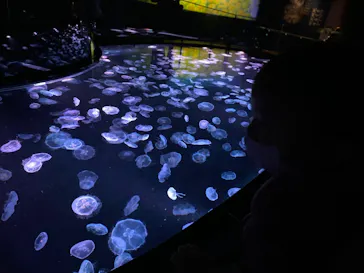 すみだ水族館に投稿された画像（2021/3/20）