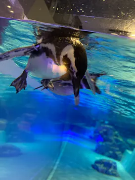すみだ水族館に投稿された画像（2021/3/20）