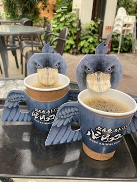 神戸どうぶつ王国に投稿された画像（2021/3/20）