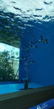 サンシャイン水族館に投稿された画像（2021/3/20）