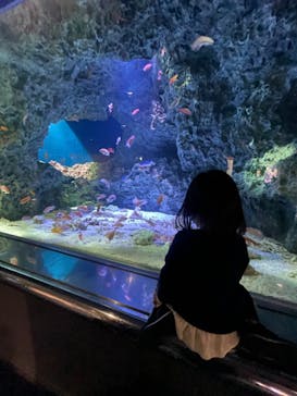 マリンワールド海の中道に投稿された画像（2021/3/20）