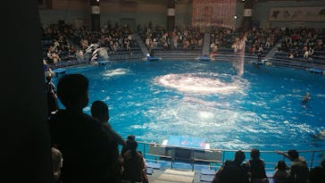 マクセル アクアパーク品川に投稿された画像（2021/3/20）