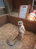 しろとり動物園に投稿された画像（2021/3/20）