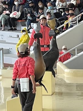 マリンワールド海の中道に投稿された画像（2021/3/20）