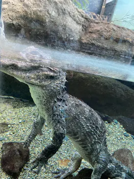 天王寺動物園に投稿された画像（2021/3/20）