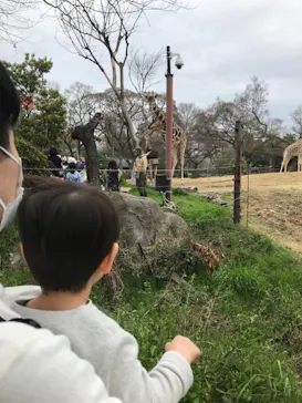 天王寺動物園に投稿された画像（2021/3/20）