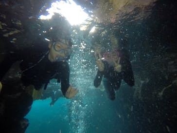 武藤潜水に投稿された画像（2021/3/20）