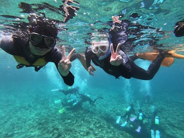 MalDive（モルダイブ）に投稿された画像（2021/3/20）