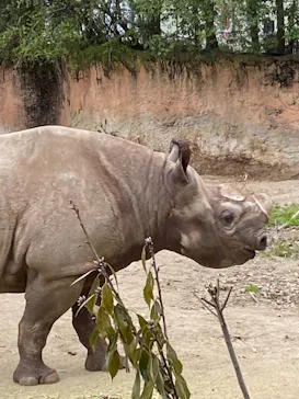 天王寺動物園に投稿された画像（2021/3/20）