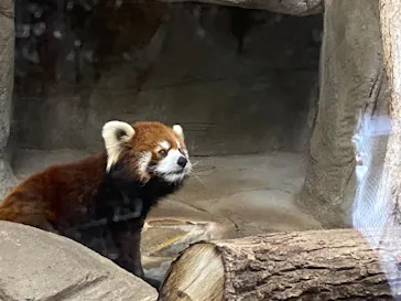 天王寺動物園に投稿された画像（2021/3/20）