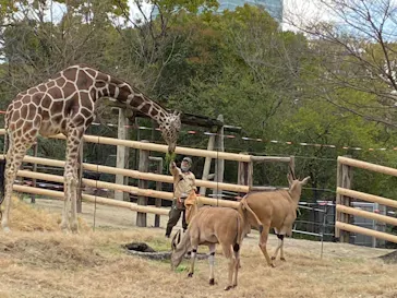 天王寺動物園に投稿された画像（2021/3/20）