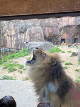 天王寺動物園に投稿された画像（2021/3/20）