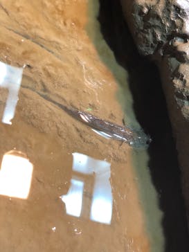 マリンワールド海の中道に投稿された画像（2021/3/20）